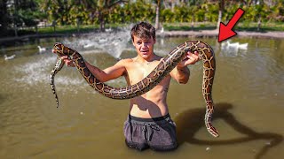 BIG PYTHON ATTACKS My ANIMALS!! *CAPTURE MISSION*