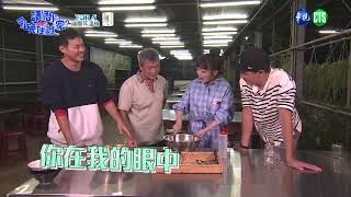 《請問今晚住誰家》天后遇上小鮮肉，無厘頭開撩太失控！｜EP3預告｜每週六晚間9點