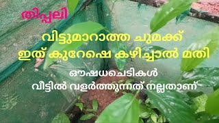 വീട്ടിലുള്ള ഔഷധക്കൂട്ട് ഒരുങ്ങിക്കഴിഞ്ഞാൽ പിന്നെ ചുമ പറപറക്കും/Mpgardrn/malayalam