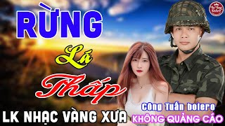 RỪNG LÁ THẤP ➤ LK Nhạc Vàng Xưa CÔNG TUẤN Toàn Bài Hay Nghe Cực Êm Tai✔️KHÔNG QUẢNG CÁO