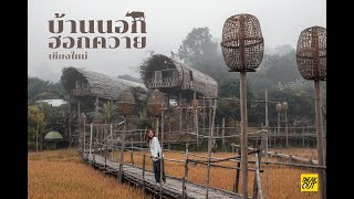 บ้านนอก ฮอกควาย โฮมสเตย์ ณ บ้านเมืองคอง  | Sneaksdeal จองดีลที่่พัก ราคาถูก