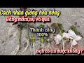 Cách nhân giống mầm quả và nụ cây hoa hồng thành công 100%