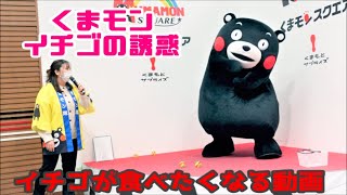 【イチゴの誘惑♪】くまモン イチゴはどっちから食べる？ ＋ おまけ動画【4/6】