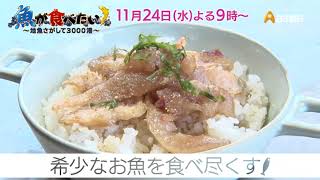 魚が食べたい！－地魚さがして３０００港－