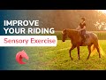 Improve Your Riding with this Sensory Awareness Exercise