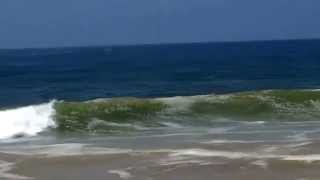 Poovar Beach, Thiruvananthapuram, Kerala