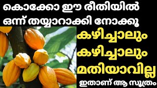 കൊക്കോ ഒരു പ്രാവശ്യം ഇങ്ങനെ ഉണ്ടാക്കിയാൽ പിന്നെ ഇങ്ങനെ ഉണ്ടാക്കും/Special Cocoa Preparation At Home