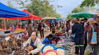 ตลาดนัดไทย-ลาวบ้านหนาด จ.นครพนม #ไข่มดแดง #ของป่า #อาหารตามฤดูกาล