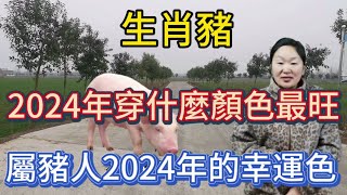 生肖屬相豬！屬豬人在2024年穿什麼顏色最旺？生肖屬豬人2024年幸運色是什麼！本期視頻講述2024生肖豬！#運勢 #顏色 #風水 #2024