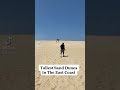 Sand boarding tallest Sand Dunes on the East Coast #shorts