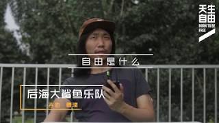 天生自由|自由是什么？后海大鲨鱼曹璞专访