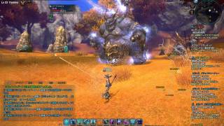 tera 2011-08-10 クーマスカダス　キャスタニック　プリースト　ソロ