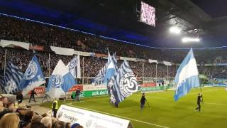MSV Duisburg vs FC Magdeburg -  Zebratwist