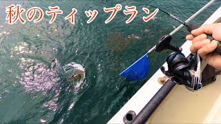 初！秋のティップラン！！瀬戸内はやっぱりあの色ですね！