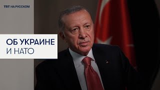 Эрдоган: видеть Украину членом НАТО не хотят США и другие страны