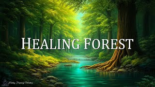 Healing Forest Ambience | 528Hz + 174Hz + 639Hz - Miracle Tone | Emotional Healing \u0026 Heart Renewa...