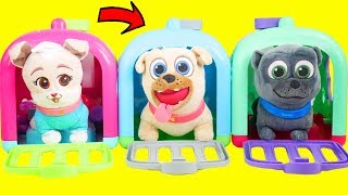 Puppy Dog Pals Vet Crate Learn Colors for Kids and Food with Paw Patrol Grocery