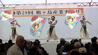 妃龍〔鶴ヶ島市産業まつり　旗隊演舞「光、溢れて」20141108〕