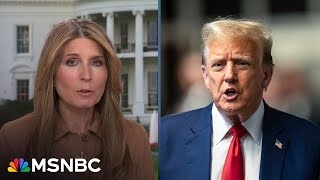 Nicolle Wallace: ‘For a million reasons petty, shallow, and primal Trump does no