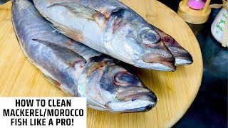 How To Clean Your Mackerel/Morocco Fish Like A Pro! Easy Method To Clean Your Mackerel Properly 🥰