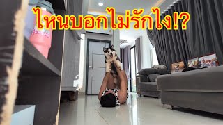 หลักฐานมัดตัวขนาดนี้ลุงเก่งจะดิ้นหลุดยังไงเอ็นดูคนไม่รัก ฮ่าๆ