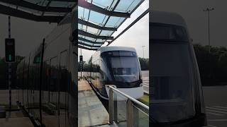 南京河西有軌電車　中国南車南京浦鎮車輛有限公司製CINIUS　保双街駅出発　2024/8/23