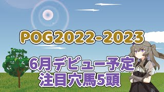 【POG】2022-2023　6月デビュー穴馬5頭紹介【VOICEVOX】