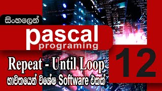 #12. Build the Upgraded Software for pascal 11 tutorial | Pascal Programming | (SINHALA)
