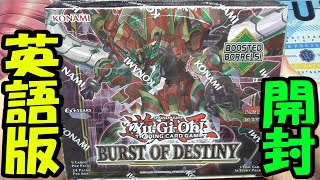 【#遊戯王】英語版 バーストオブデスティニー 1BOX開封/Burst of Destiny Box Opening【#開封動画】