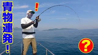 There's information that blue fish are swarming in the sea of ​​Oita!!