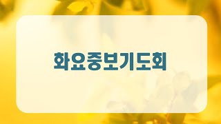 [순복음노원교회 ㅣ화요중보기도회ㅣ2025년 2월 18일