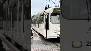 Tram line 5 in Freiburg im Breisgau towards Rieselfeld | 🇩🇪 Freiburg, Germany