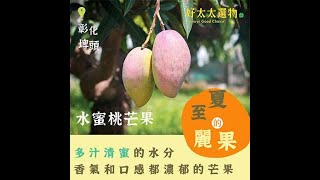 【夏至麗果】「水蜜桃芒果」多汁清蜜 香氣和口感都濃郁的芒果|好太太選物