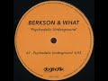 Berkson & What - Back To Mine