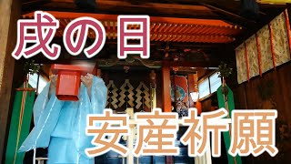 【双子】戌の日に安産祈願へ行きました♪