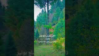 ڈاگسر چغرزئی ضلع بونیر