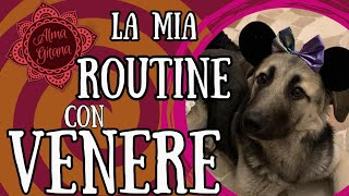 LA MIA ROUTINE CON VENERE!