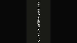 あらゆる愚かさは・・・セネカの名言