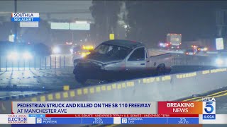 Pedestrian struck, killed on 110 Freeway 