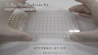 Biofilm Viability Assay Kit　同仁化学研究所