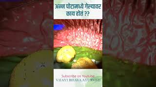 अन्न पोटामध्ये गेल्यावर काय होतं? #diagestivesystam #vijayibhavaayurved #drvijaymahadik