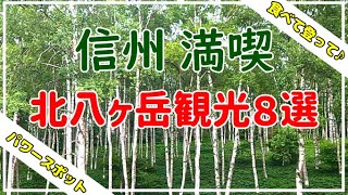 【北八ヶ岳観光８選ダイジェスト】信州を満喫する観光地をご紹介します｜神秘的な白樺群生地｜パワースポットの湖｜絶品信州田舎そば｜霧が晴れた御射鹿池｜北八ヶ岳ロープウェイ｜蓼科山聖光寺｜朝日の丘公園