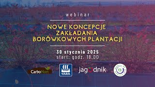 Nowe koncepcje zakładania borówkowych plantacji