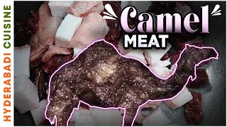 How To Make Camel Meat Recipe By Hyderabadi Cuisine