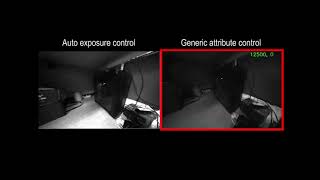 Generic Camera Attribute Control using Bayesian Optimization