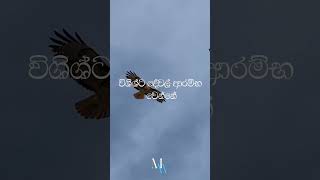 බ‍ය නැතුව මූණ දෙන්න | Sinhala Motivation Video | Short | Sigma Rule | Sigma Attitude #motivation