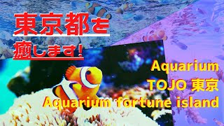 Aquarium TOJO 東京