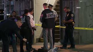 Teen Girl Killed in Stabbing Outside NYC Subway Station