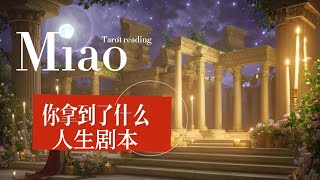 Miao塔羅占卜------你拿到什麼人生劇本