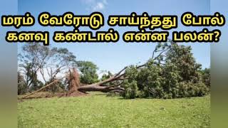 மரம் வேரோடு சாய்ந்தது போல் கனவு கண்டால் என்ன பலன்?/Maram verotu cayntatu pol kanavu kantal  palan?